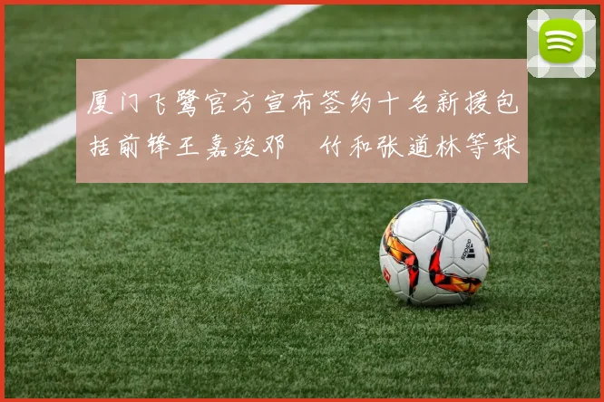 厦门飞鹭官方宣布签约十名新援包括前锋王嘉竣邓棽竹和张道林等球员