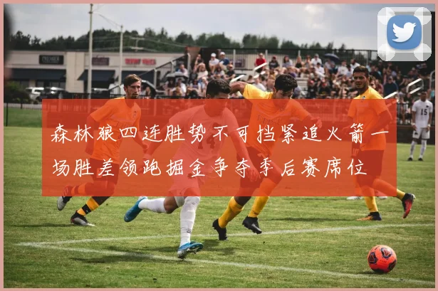 森林狼四连胜势不可挡紧追火箭一场胜差领跑掘金争夺季后赛席位