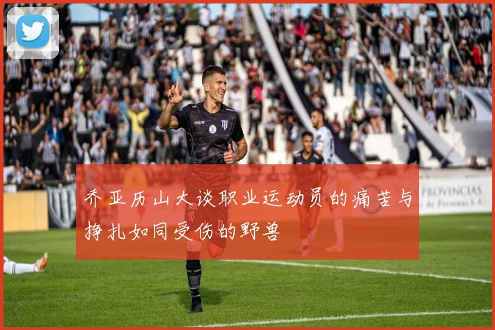 乔亚历山大谈职业运动员的痛苦与挣扎如同受伤的野兽