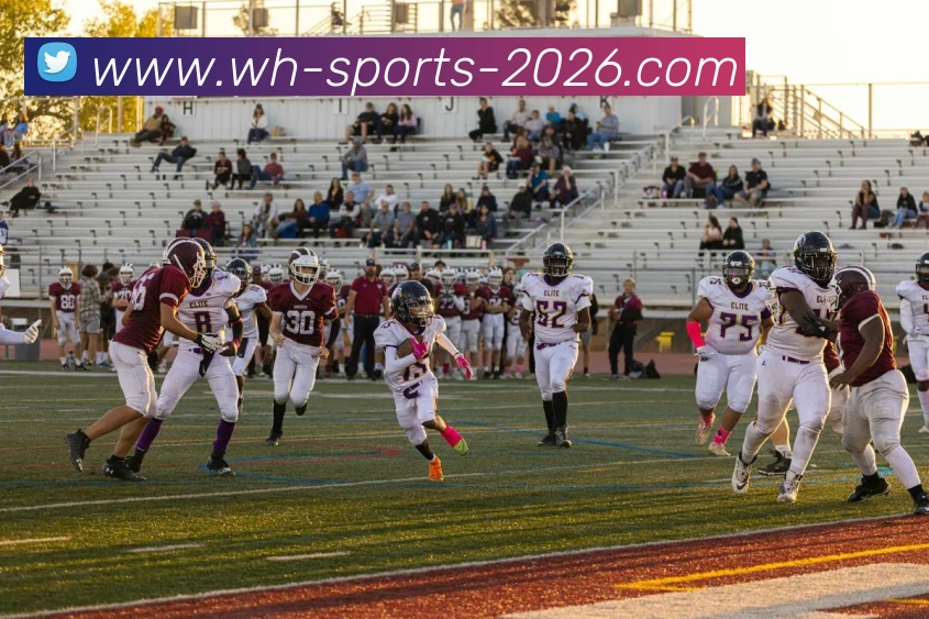 威廉希尔APP 体育赛事宣传图